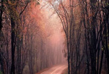 股票融资利息是多少:如何网上开户买股票-百亿基金经理隐形重仓股曝光！张坤、葛兰、傅鹏博这样操作